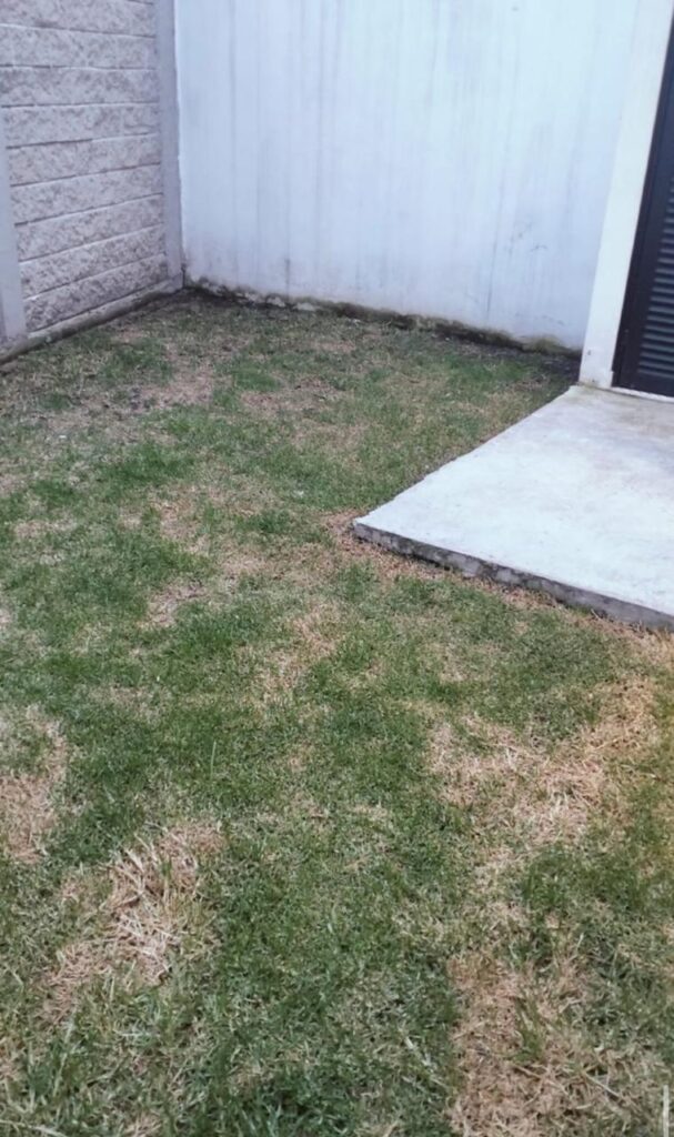 Imagen-de-WhatsApp-2025-09-25-a-las-19.00.43_44db40b0